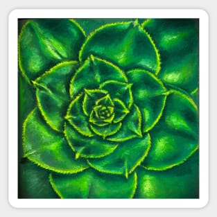 Echeveria Green Prince Sticker